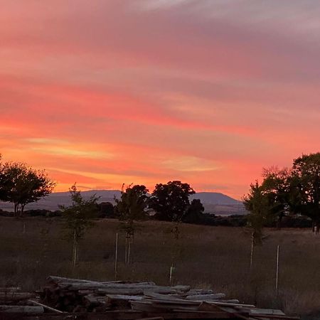 Finca Las Botas Almansa Dış mekan fotoğraf