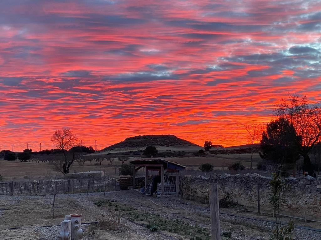 Finca Las Botas Almansa Dış mekan fotoğraf