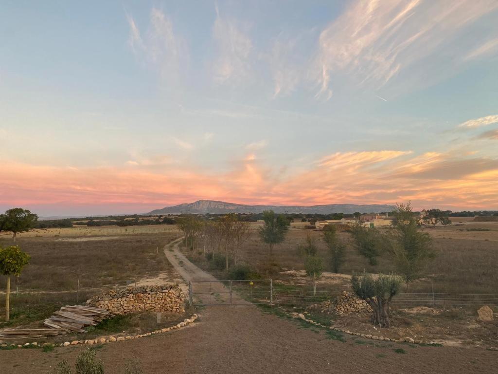 Finca Las Botas Almansa Dış mekan fotoğraf