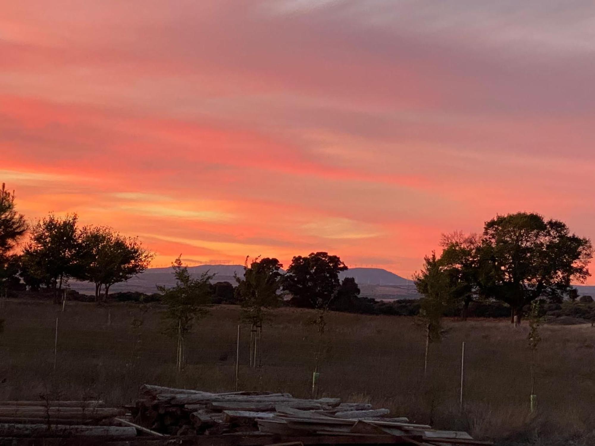 Finca Las Botas Almansa Dış mekan fotoğraf