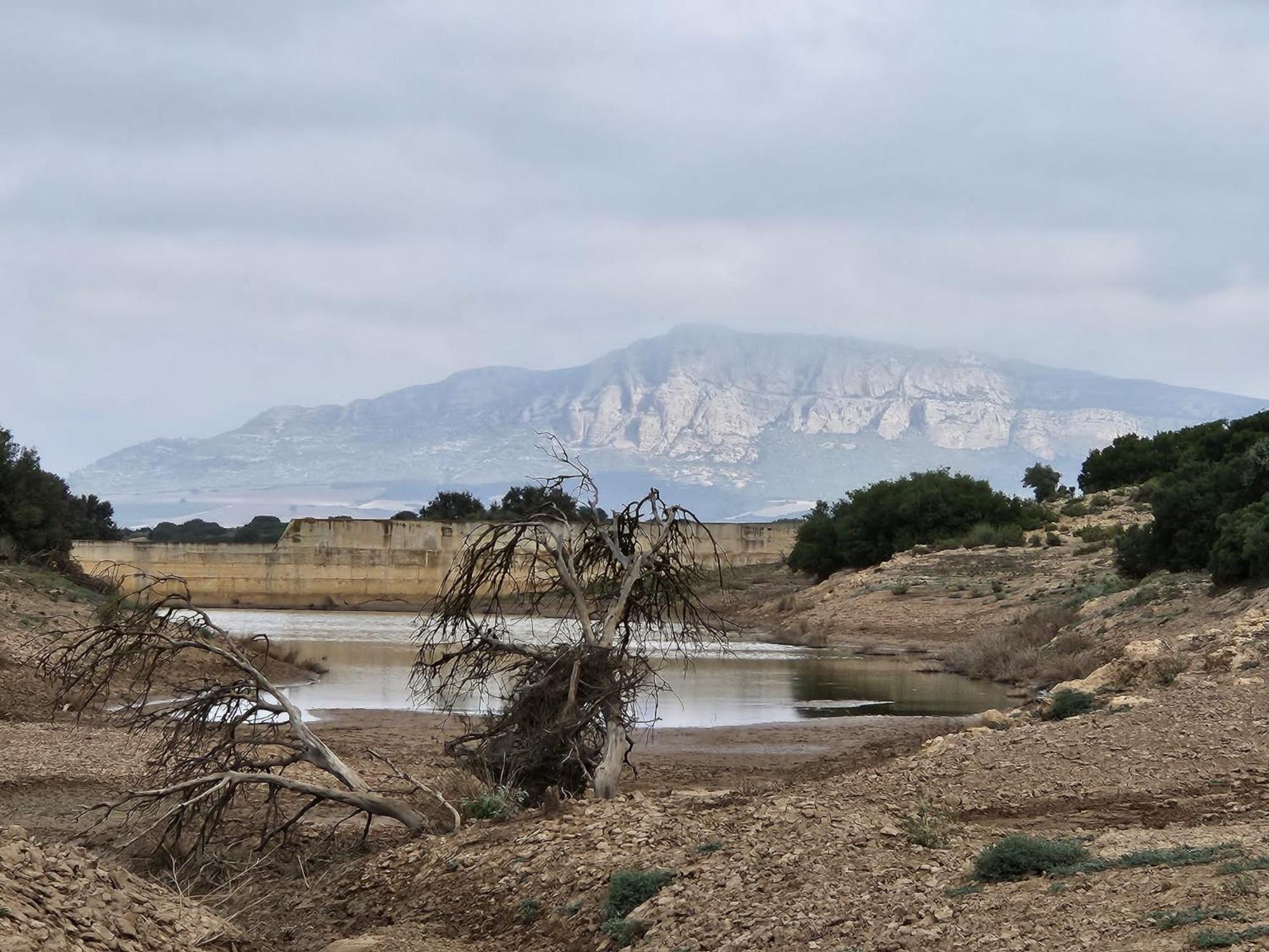 Finca Las Botas Almansa Dış mekan fotoğraf