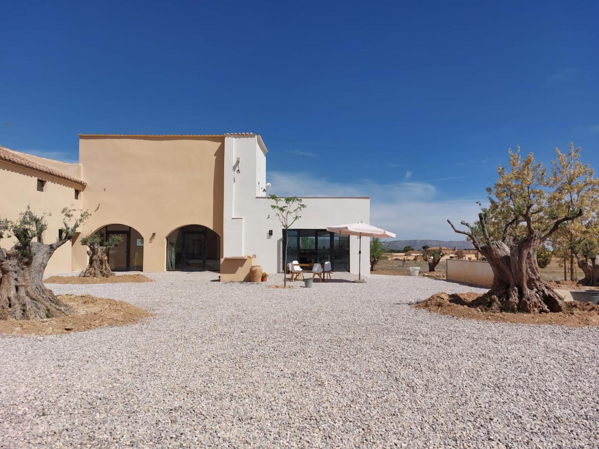 Finca Las Botas Almansa Dış mekan fotoğraf